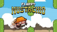 Whiskered Sky Dash