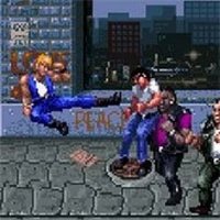 Double Dragon 3: Retro Action Adventure