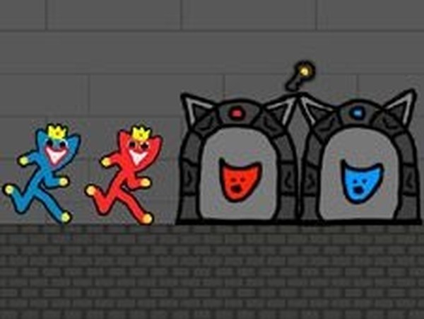 Two-Color Duo: Cooperative Puzzle Quest