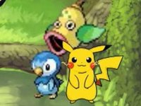 Puzzle Catch Challenge