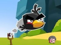 Feathered Friends Slingshot Puzzle