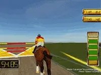 Horse Obstacle Course Run