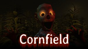 Field Path Puzzle Challenge