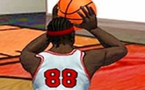 Basketball Hoop Precision Challenge